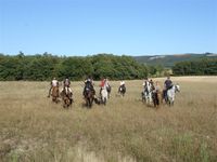 Le paradis des chevaux et des cavaliers